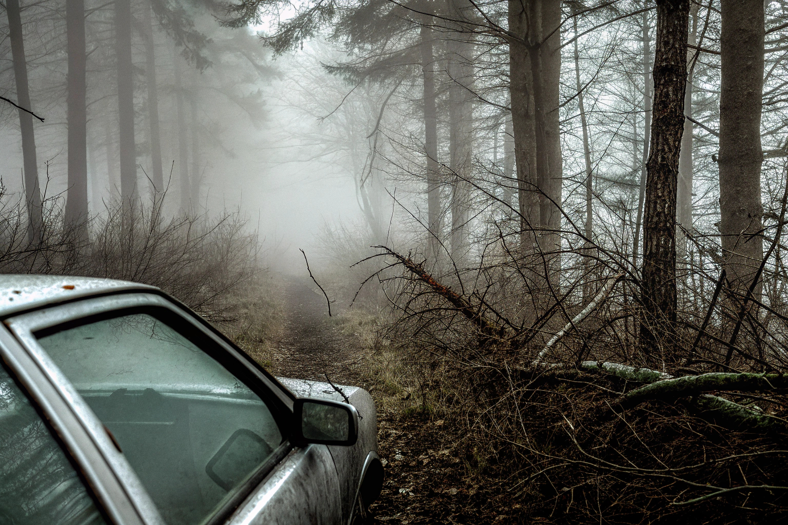 A Quiet Place - The Road Ahead Screenshot