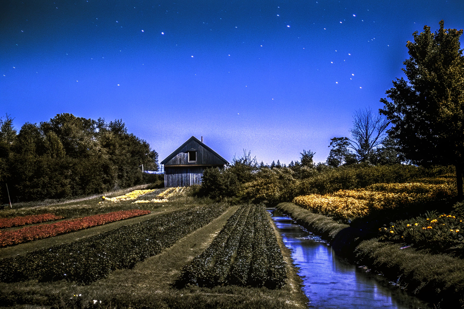 Idyllische Szene aus Harvest Moon