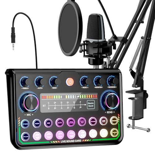 SINWE Podcast Equipment Set